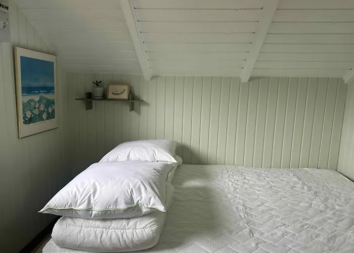 Cozy Summer House With New Kitchen And Bathroom
